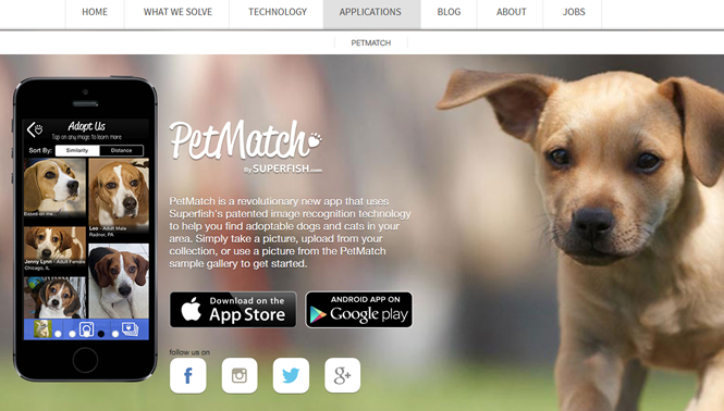 死んだペットに似ている犬・猫を探してくれるアプリ「PetMatch」