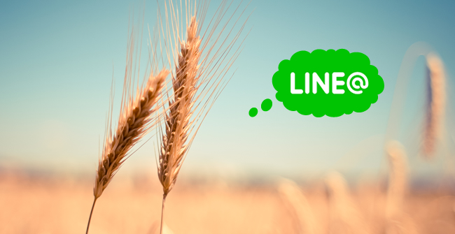LINEの新サービス「LINE Pay」と「LINE @」の一般開放で考えられるビジネスモデルとは